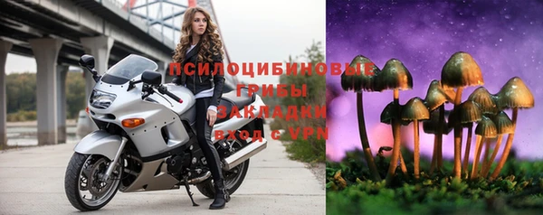 мяу мяу мука Киреевск